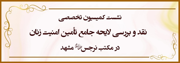 نشست کمیسیون تخصصی نقد و بررسی لایحه جامع تأمین امنیت زنان